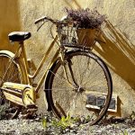 trasa rowerowa warszawa